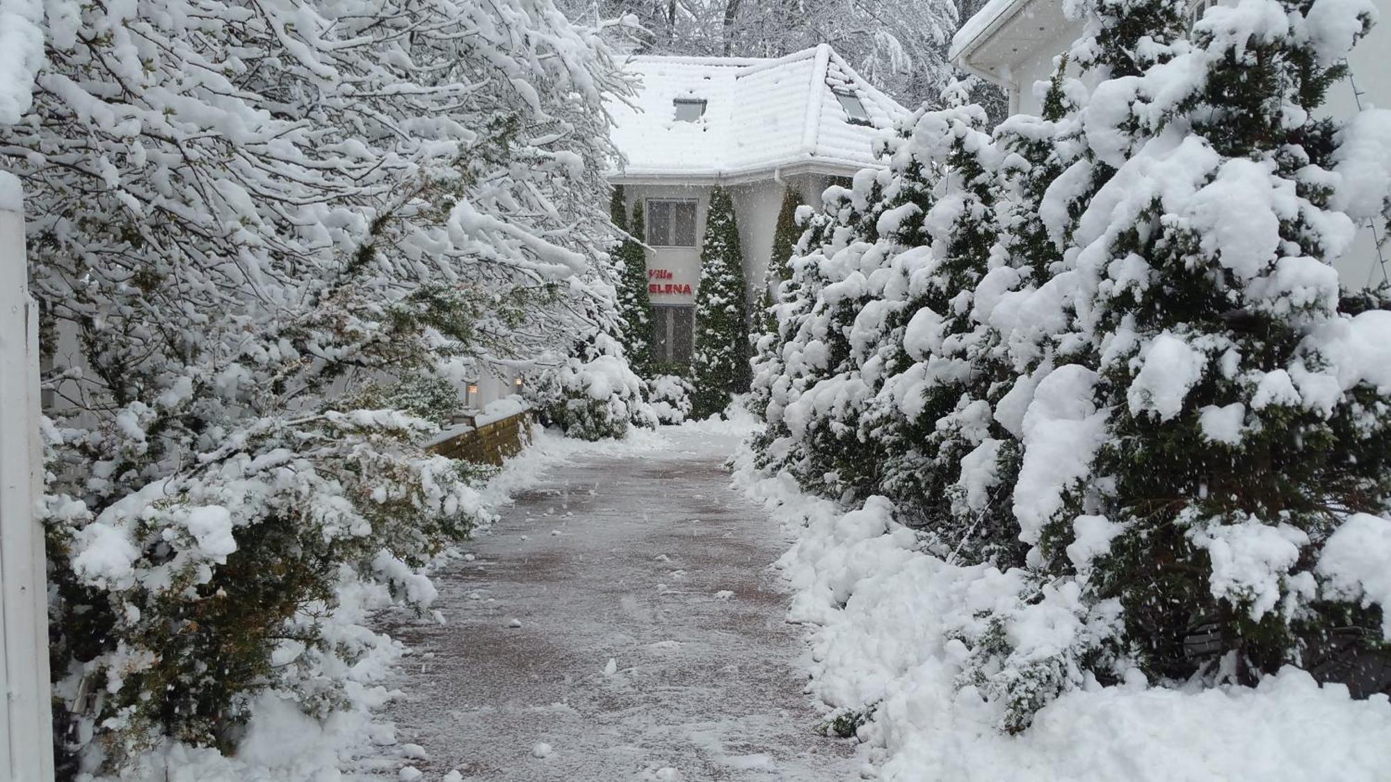 Boutique Hotel Forest Retreat (Adults Only) בוסטאני מראה חיצוני תמונה